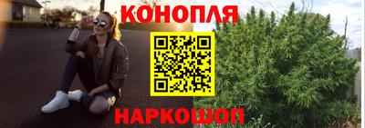 метадон Новозыбков